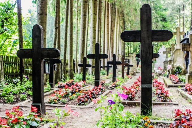 cimitirul Mănăstirii Sihăstria