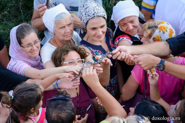 (Video) Șerpii din Kefalonia – o minune deosebită ce se săvârşeşte anual, în vremea postului Adormirii Maicii Domnului