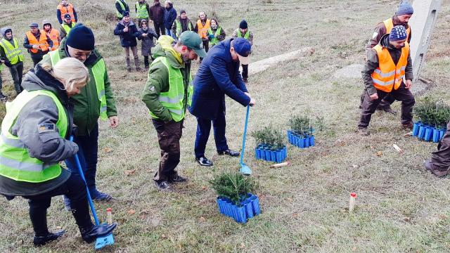 Activităţi pentru protejarea mediului înconjurător