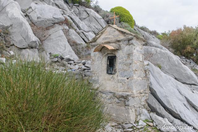 Proschinitar de la Kavsokalivia
