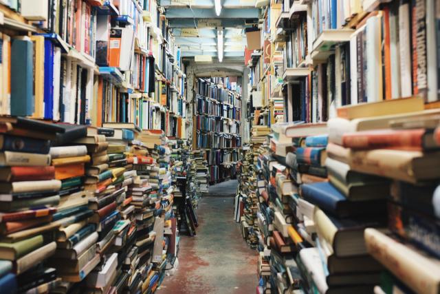 Despre folosul harului în viața civică a intelectualilor