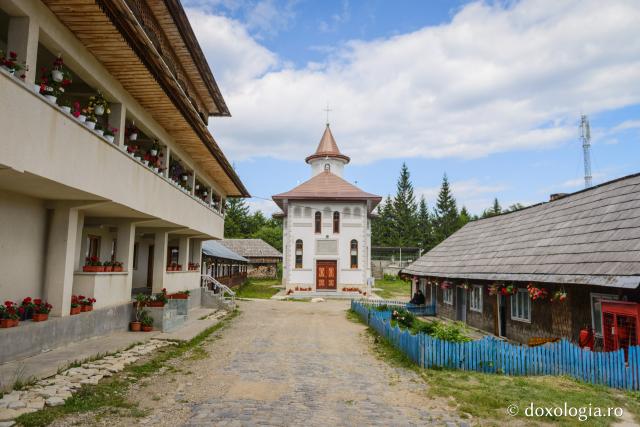 (Foto) Stirigoi – Mănăstirea denumită după planta otrăvitoare care creşte doar aici