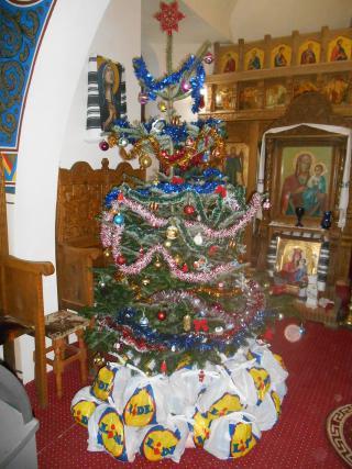 Proiect misionar-pastoral „Lumini de sărbători“
