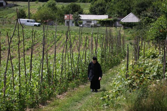 Liturghie arhierească la Mănăstirea Blaga
