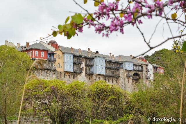 (Foto) De la Iviron la Morfono – Pe potecile Sfântului Munte