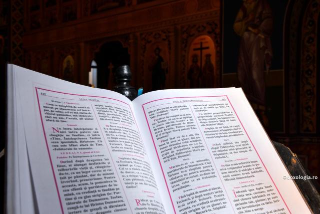 (Video) Trebuie urmată mereu rânduiala liturgică exact ca în cărțile de cult?