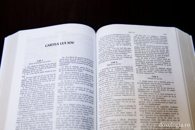 Cartea lui Iov – Capitolul 19