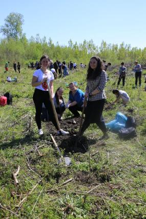 Voluntarii ATOR, ASCOR și Pro Vita Iași – Acțiune de împădurire în Prisăcani