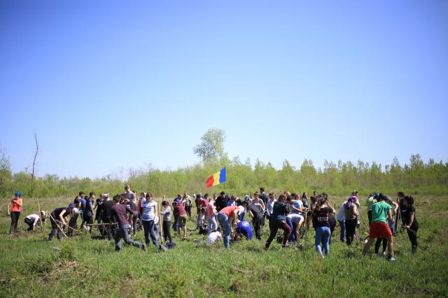 Voluntarii ATOR, ASCOR și Pro Vita Iași – Acțiune de împădurire în Prisăcani