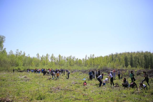 Voluntarii ATOR, ASCOR și Pro Vita Iași – Acțiune de împădurire în Prisăcani
