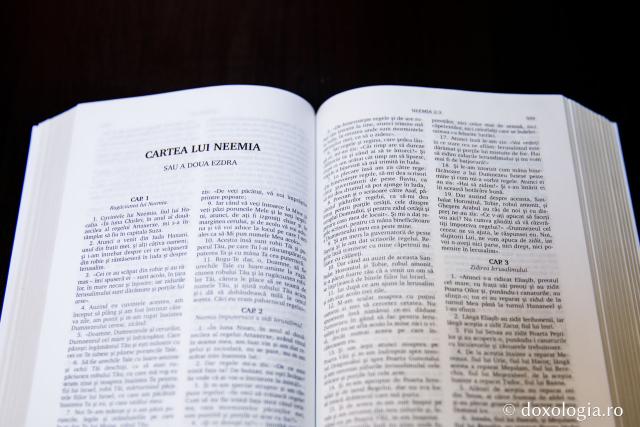 Cartea lui Neemia (a doua Ezdra) – Capitolul 10