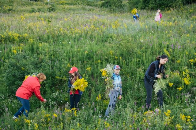 Manifestare deosebită de Ziua Iei, în comuna Borleşti