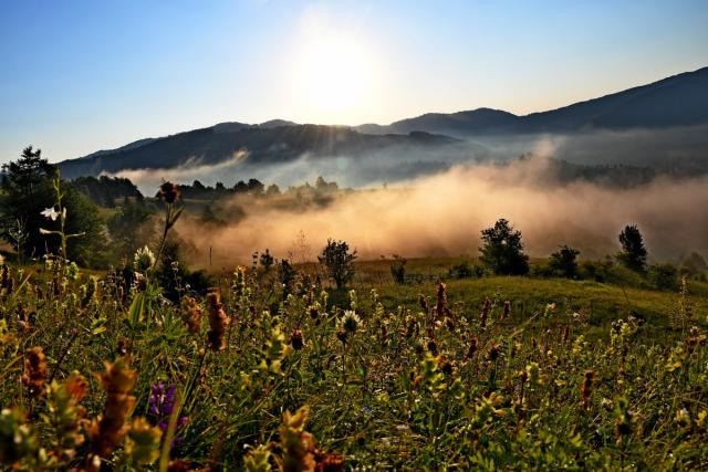 Tabără de fotografie la Buhalniţa-Neamţ, la final