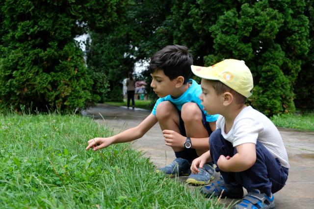 Tabăra tinerelor familii din Europa de Nord, în nordul României