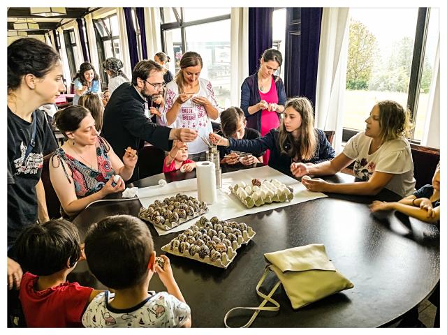 Tabăra tinerelor familii din Europa de Nord, în nordul României