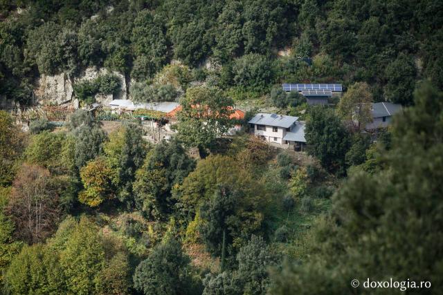 Chilia „Sfântul Artemie”, Lacu – Așezăminte româneşti din Muntele Athos