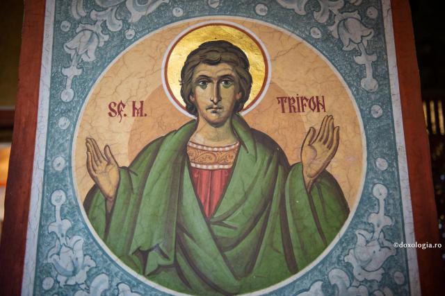 Sfântul Trifon