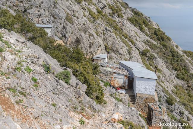 Coliba de la Sfântul Vasile