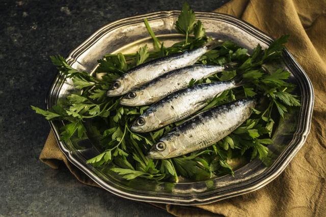 sardine