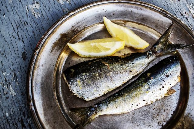 sardine