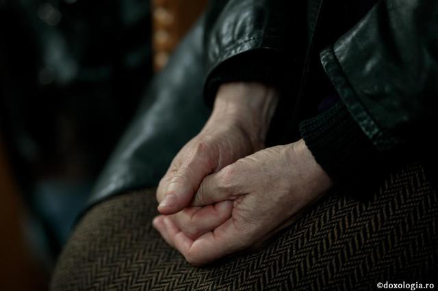 Gândurile unui smochin neroditor – pelerini pe drumul spre Înviere