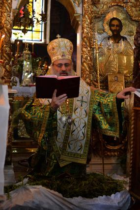„Cum putem intra cu Domnul în Ierusalim?”. Mitropolitul Moldovei și Bucovinei a răspuns la această întrebare în Duminica Floriilor