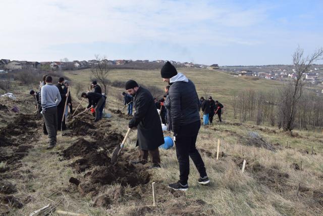 Preoţi din Protopopiatul 2 Iaşi au plantat 1.400 de copaci în comuna Bârnova