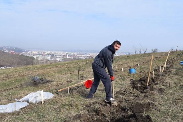 Preoţi din Protopopiatul 2 Iaşi au plantat 1.400 de copaci în comuna Bârnova