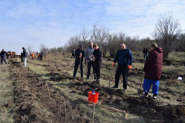Preoţi din Protopopiatul 2 Iaşi au plantat 1.400 de copaci în comuna Bârnova