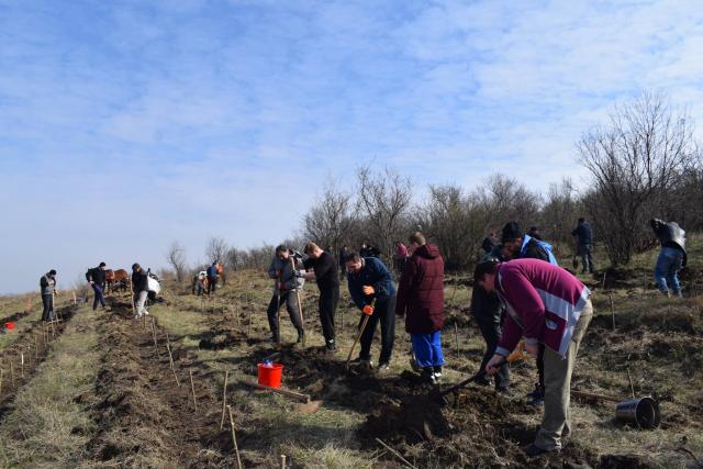 Preoţi din Protopopiatul 2 Iaşi au plantat 1.400 de copaci în comuna Bârnova