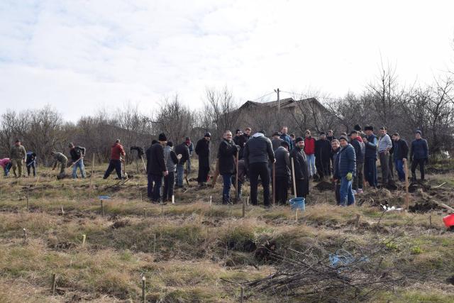 Preoţi din Protopopiatul 2 Iaşi au plantat 1.400 de copaci în comuna Bârnova