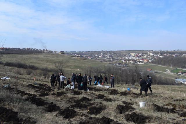 Preoţi din Protopopiatul 2 Iaşi au plantat 1.400 de copaci în comuna Bârnova