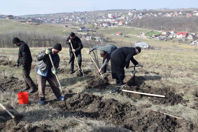 Preoţi din Protopopiatul 2 Iaşi au plantat 1.400 de copaci în comuna Bârnova