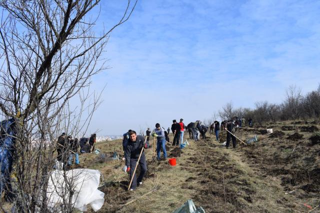 Preoţi din Protopopiatul 2 Iaşi au plantat 1.400 de copaci în comuna Bârnova