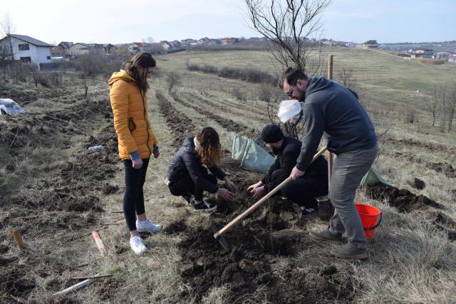 Preoţi din Protopopiatul 2 Iaşi au plantat 1.400 de copaci în comuna Bârnova