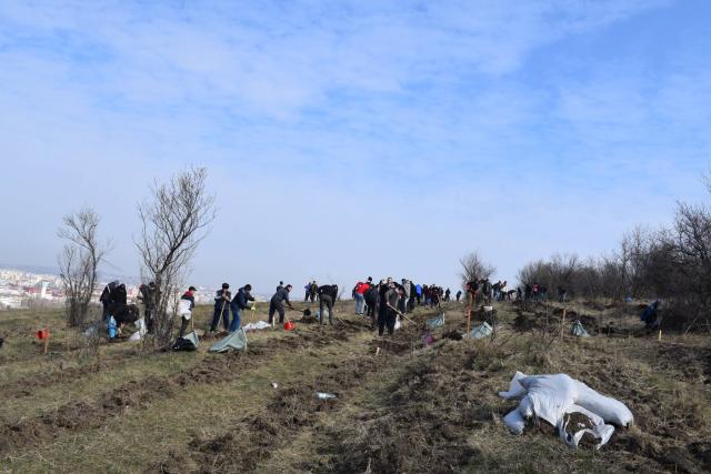 Preoţi din Protopopiatul 2 Iaşi au plantat 1.400 de copaci în comuna Bârnova