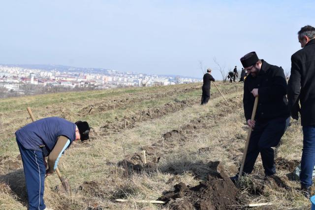 Preoţi din Protopopiatul 2 Iaşi au plantat 1.400 de copaci în comuna Bârnova