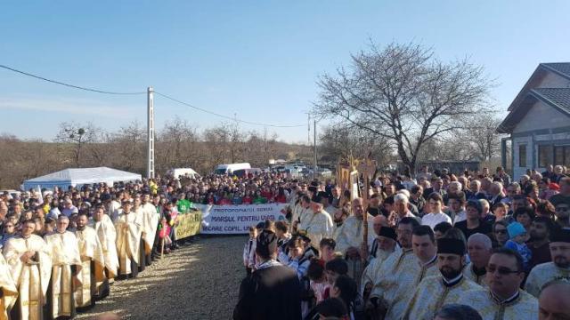 Procesini în cinstea Sfintei Cruci în protopopiatele Bacău şi Roman