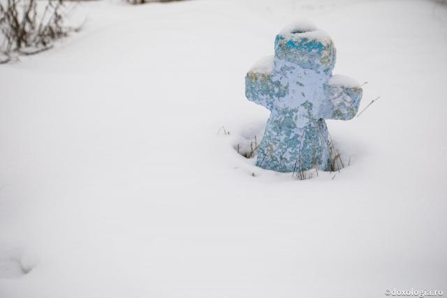 cruce în zăpadă