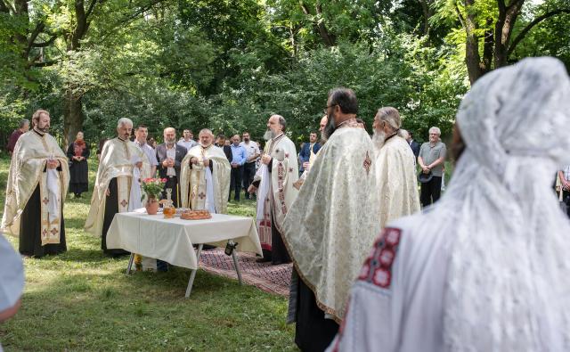 Şerban Sturdza, omul deplin al României verticale