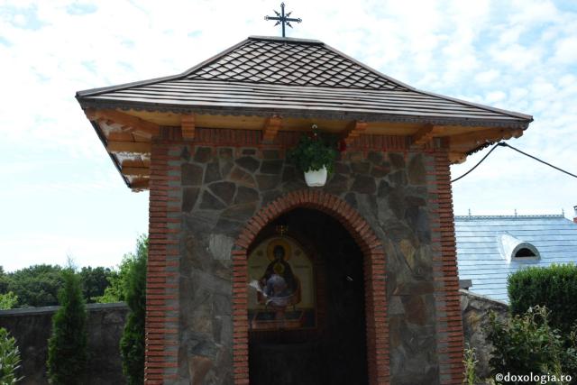 Părintele Mitropolit Teofan la hramul Mănăstirii Lacuri: „Ca o prelungire a Sfinților Apostoli Petru și Pavel, viața noastră cuprine momente de înălțime duhovnicească”