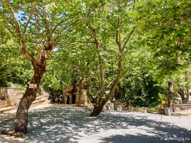 (Foto) Bisericuța din care cresc 17 copaci - acasă la Sfânta Teodora din Vasta