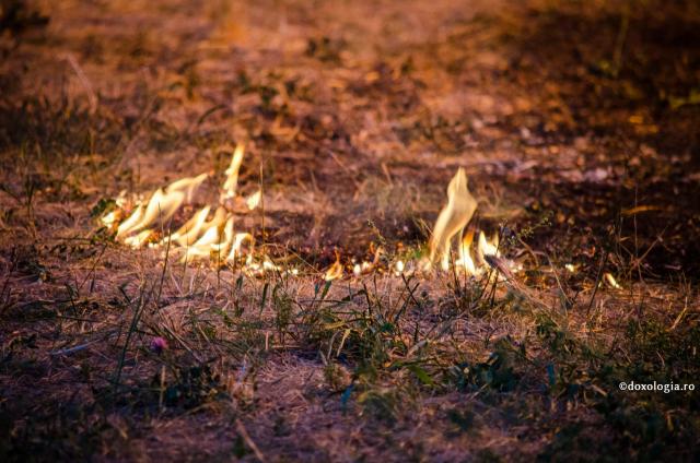 iarbă uscată arzând