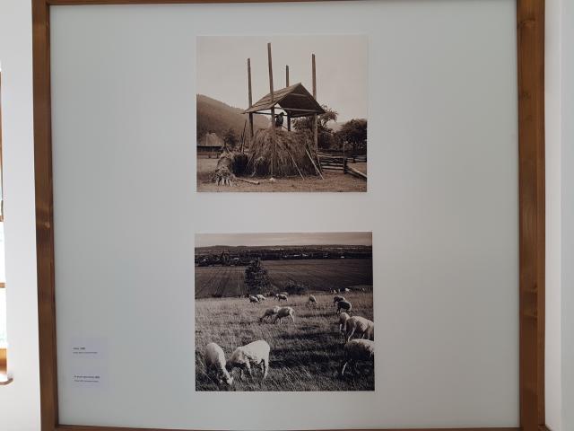 Expoziția „Satul bucovinean” s-a deschis la Mănăstirea Putna