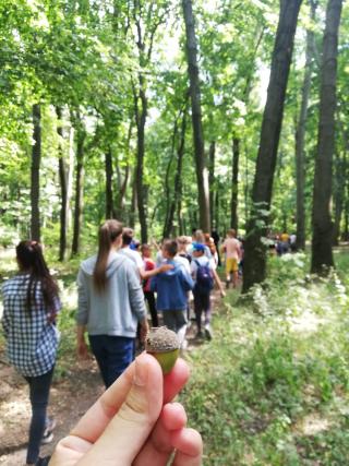 Tabăra de vară „Nordevară” în comuna Todirești - Iași