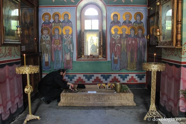Viața Sfântului Antonie Stilitul din Georgia