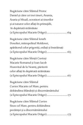 Nouă apariție: versiunea audio a cărții de rugăciuni îngrijită de Părintele Episcop Macarie al Episcopiei Europei de Nord