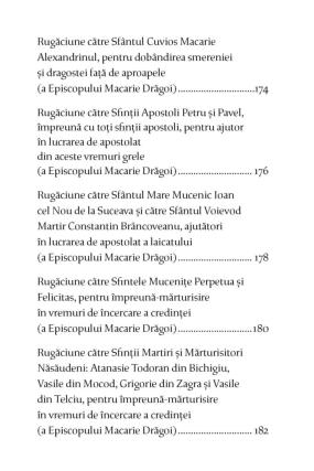 Nouă apariție: versiunea audio a cărții de rugăciuni îngrijită de Părintele Episcop Macarie al Episcopiei Europei de Nord