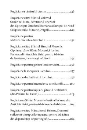 Nouă apariție: versiunea audio a cărții de rugăciuni îngrijită de Părintele Episcop Macarie al Episcopiei Europei de Nord