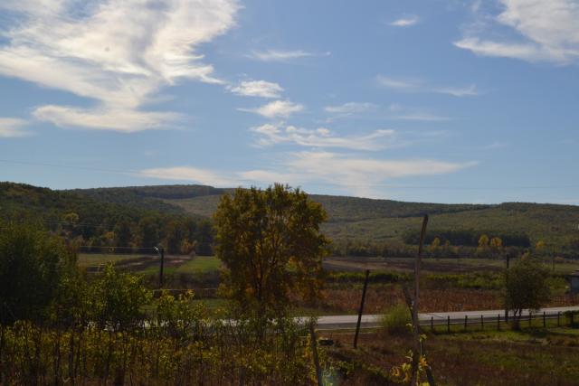 Instalarea unui nou preot în Parohia Buda, Protopopiatul Botoșani
